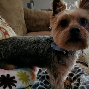 Meet your Posher, Jill